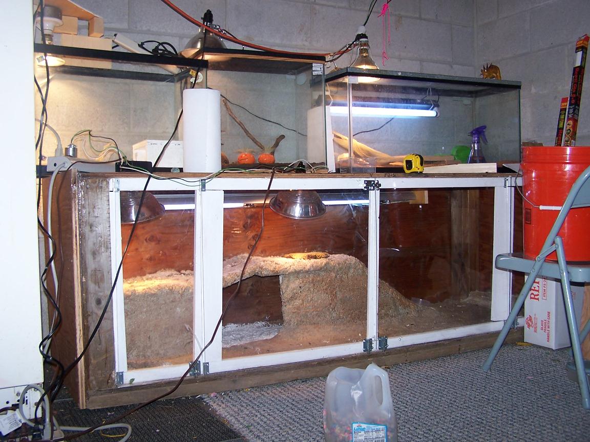 Herp room
