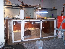 room small