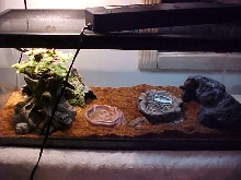 Tobias's New Setup