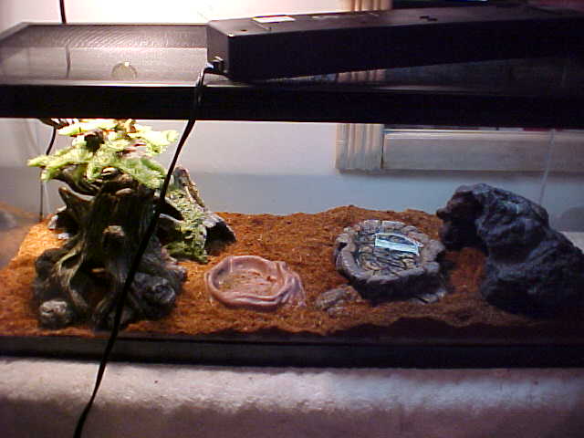 Tobias's New Setup