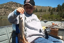 Cutthroat Trout