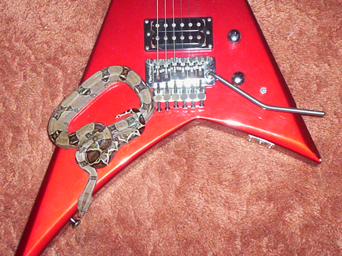 Guitar Boa