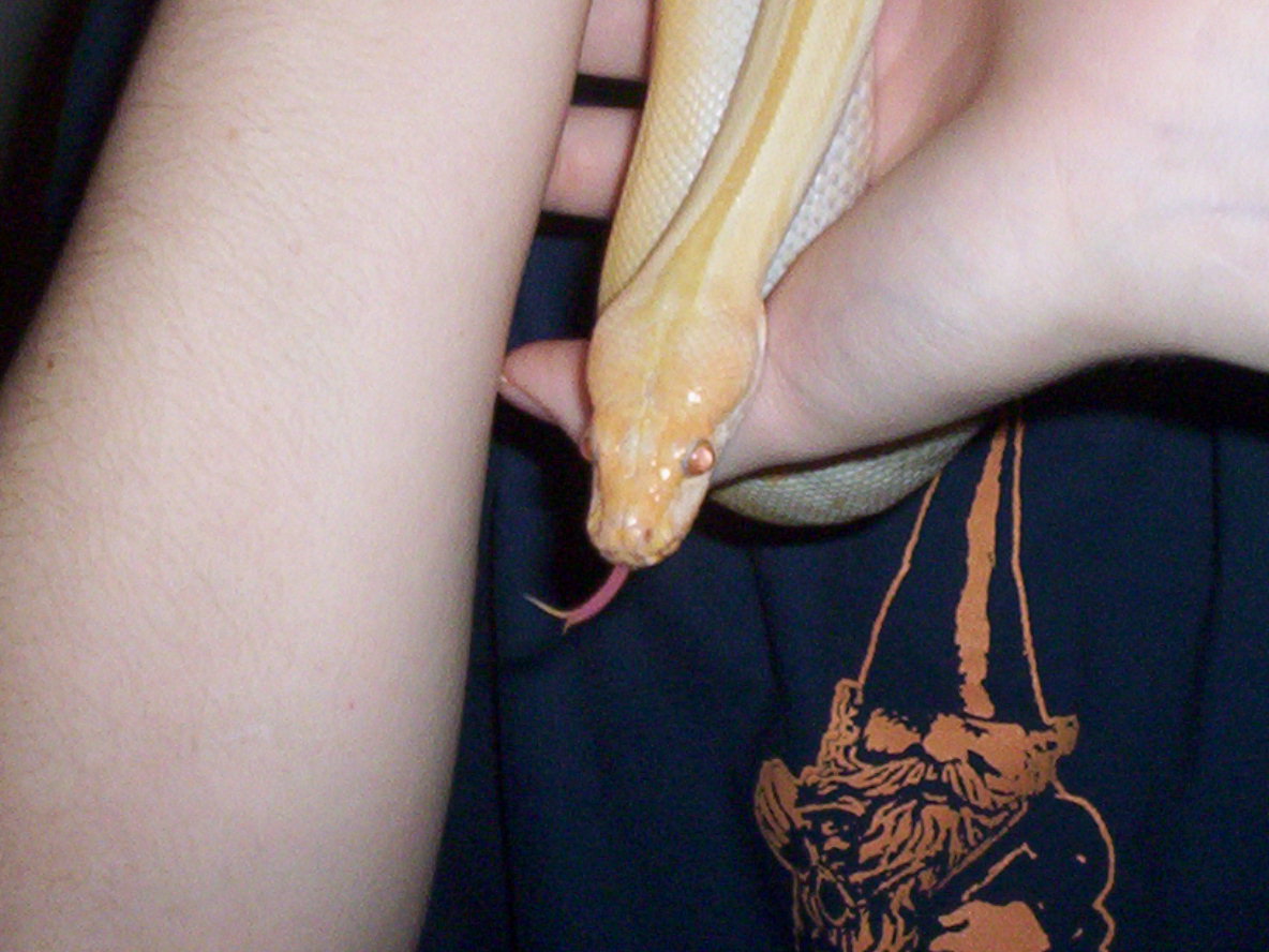 New burm