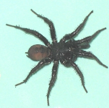 What is this?