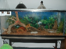 Hisser Tank