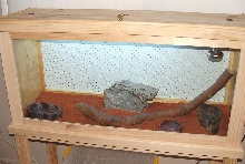 New Desert Vitties Set Up 2