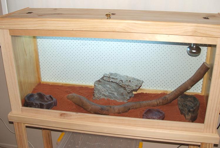 New Desert Vitties Set Up 2