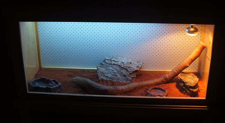 New Desert Vitties Set Up