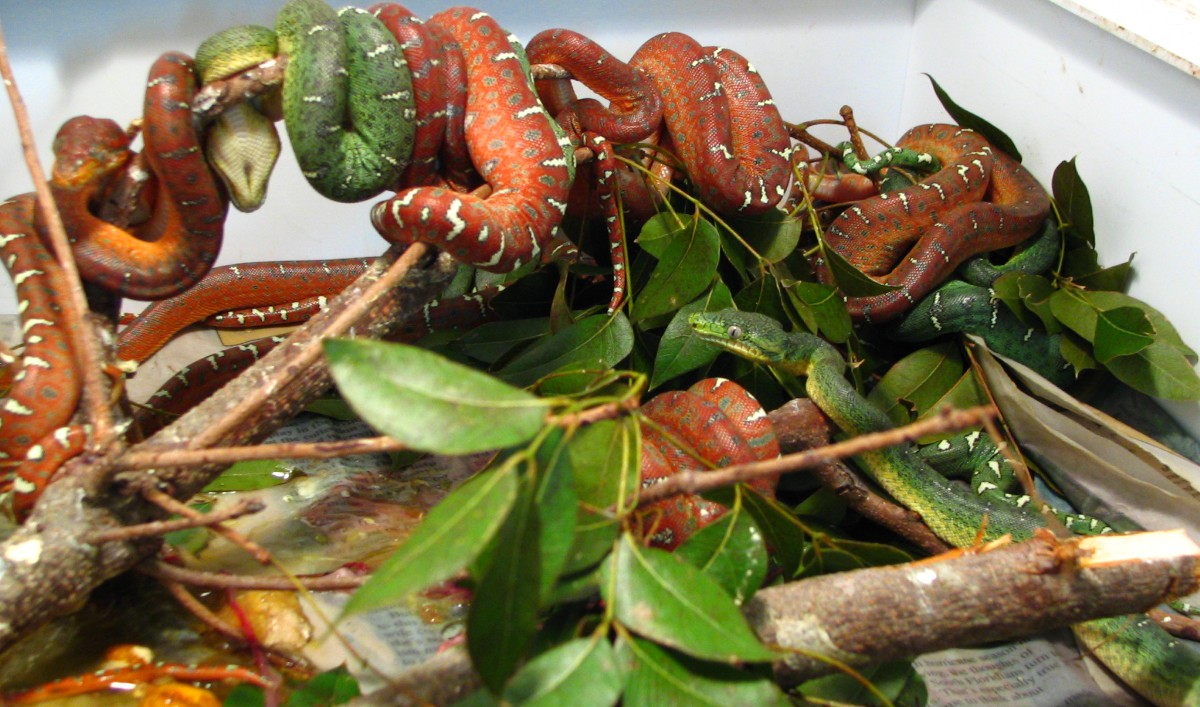 etb litter 8/30/05
