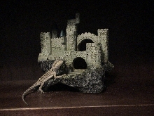 Dragon Castle