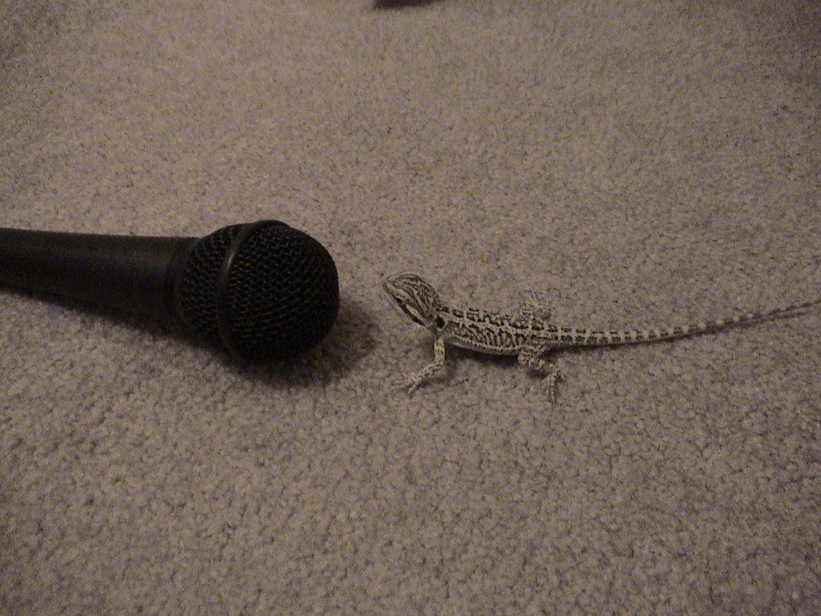 Beastie has something to say