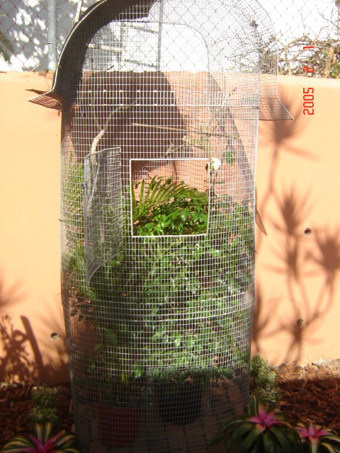 cage