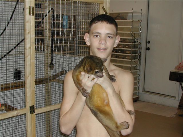 Kinkajou and Me