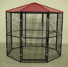 Kinkajou Cage