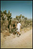 Mojave Desert