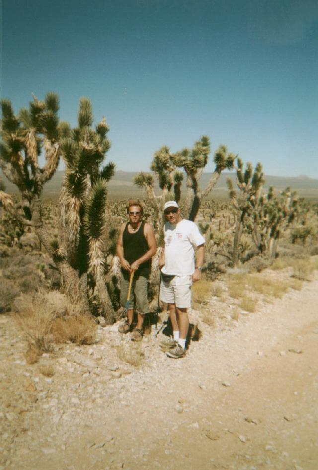 Mojave Desert