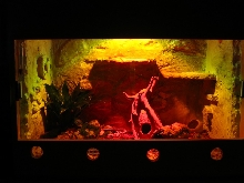 terrarium for python and boa