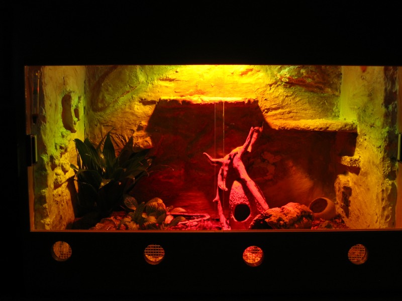 terrarium for python and boa