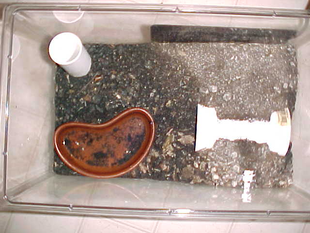 emp scorp enclosure top view