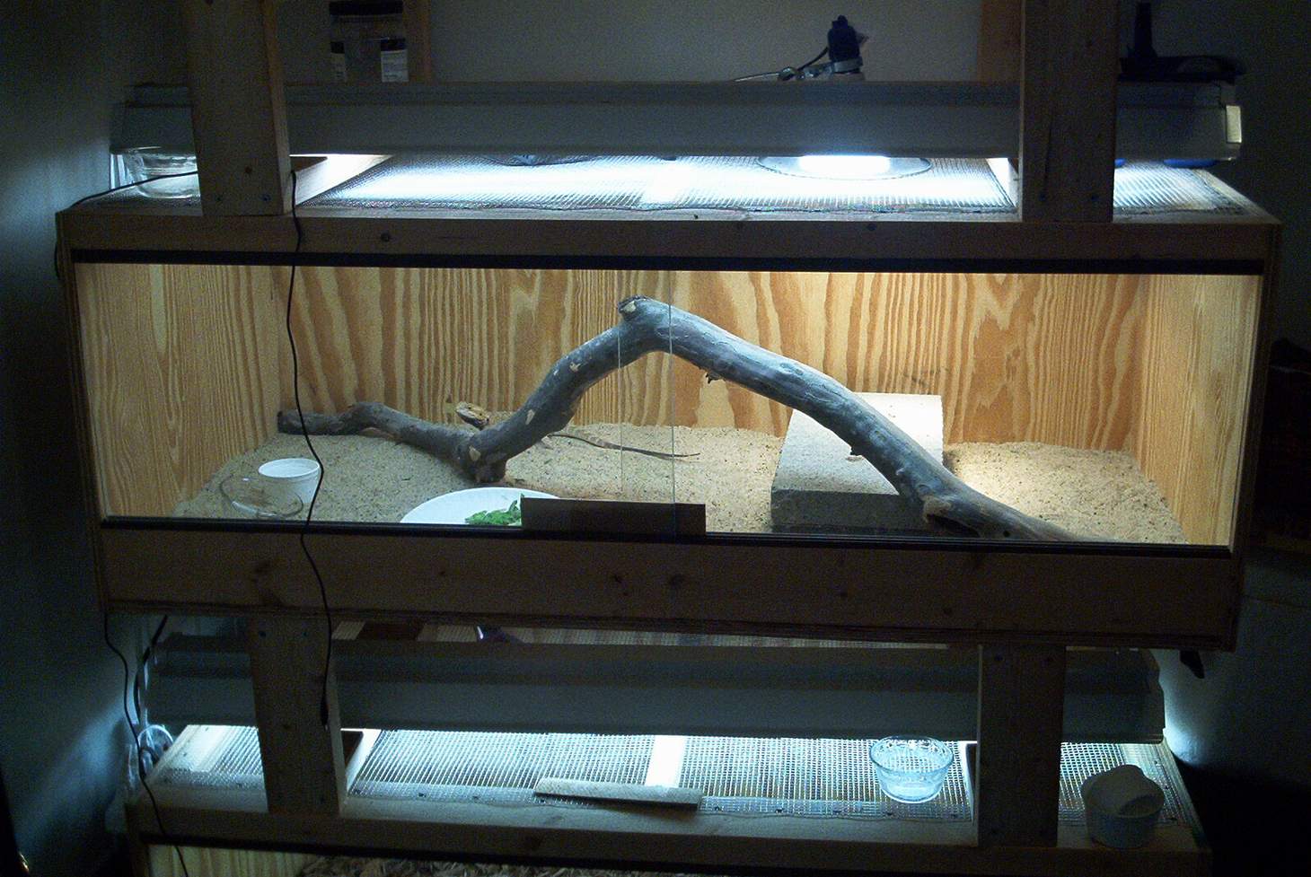 Beardie Cage 1