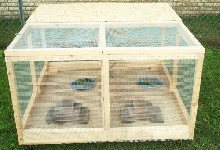 outdoor cage