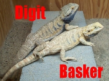 Basker and Digit