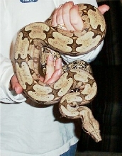 '01 Female