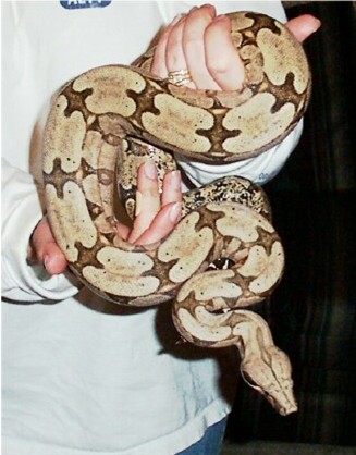 '01 Female