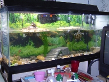 New setup complete