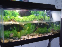new setup