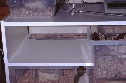Snake rack