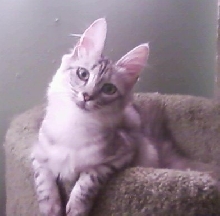 Sweet and innocent- NOT!