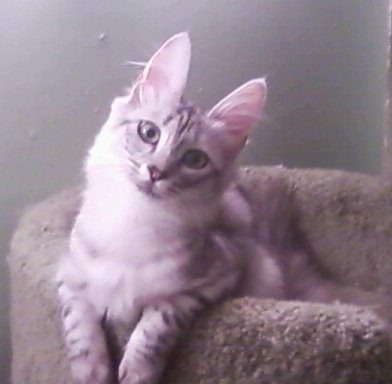 Sweet and innocent- NOT!