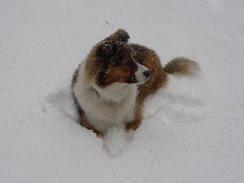 Hurley