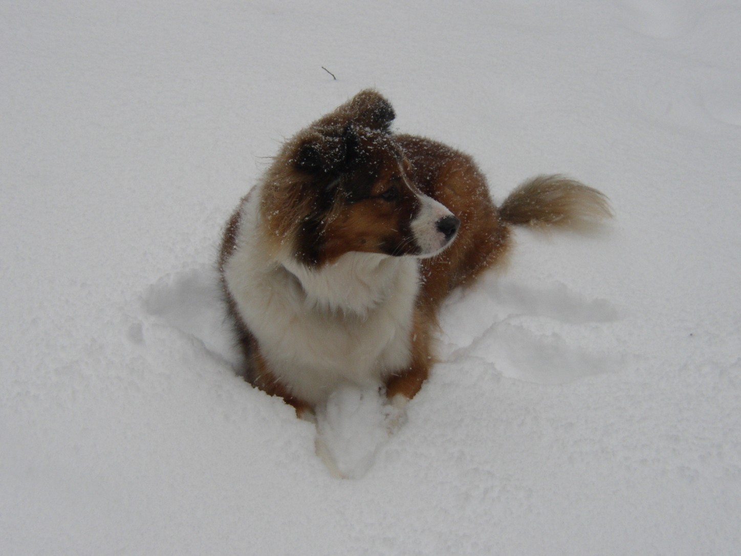 Hurley