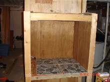 beared dragons new home