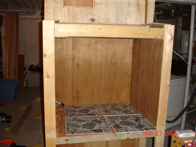 beared dragons new home