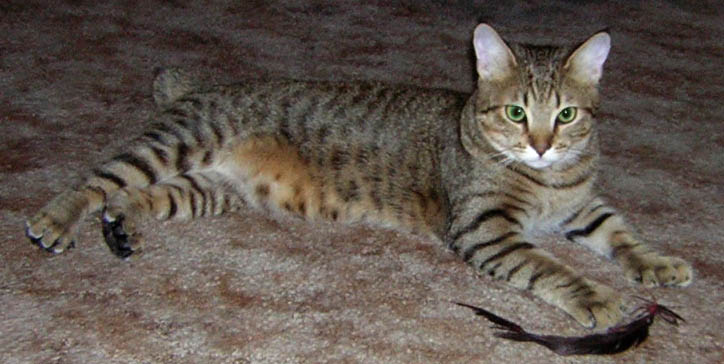 Mohkave at 7.5 months old