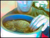 elvis in bowl