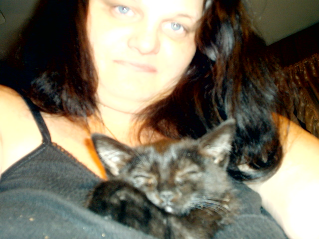 kitten sleeping in my shirt