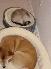 Nap Time