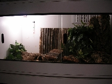 set up