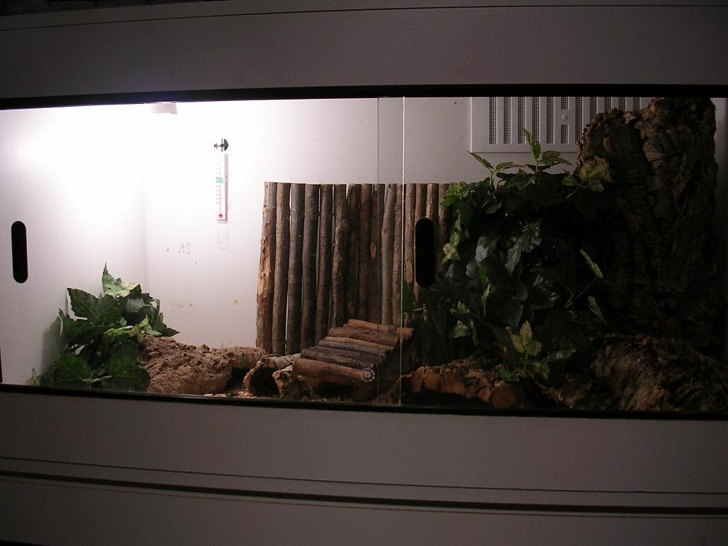 set up