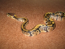 CH05Granite