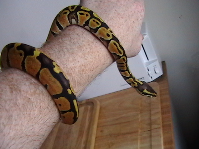 Female Pastel