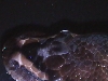 2nd shot of whote spot