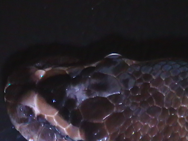 2nd shot of whote spot