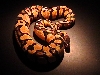 Lighted Male Pastel