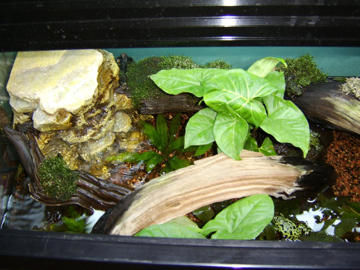 firebelly enclosure 2