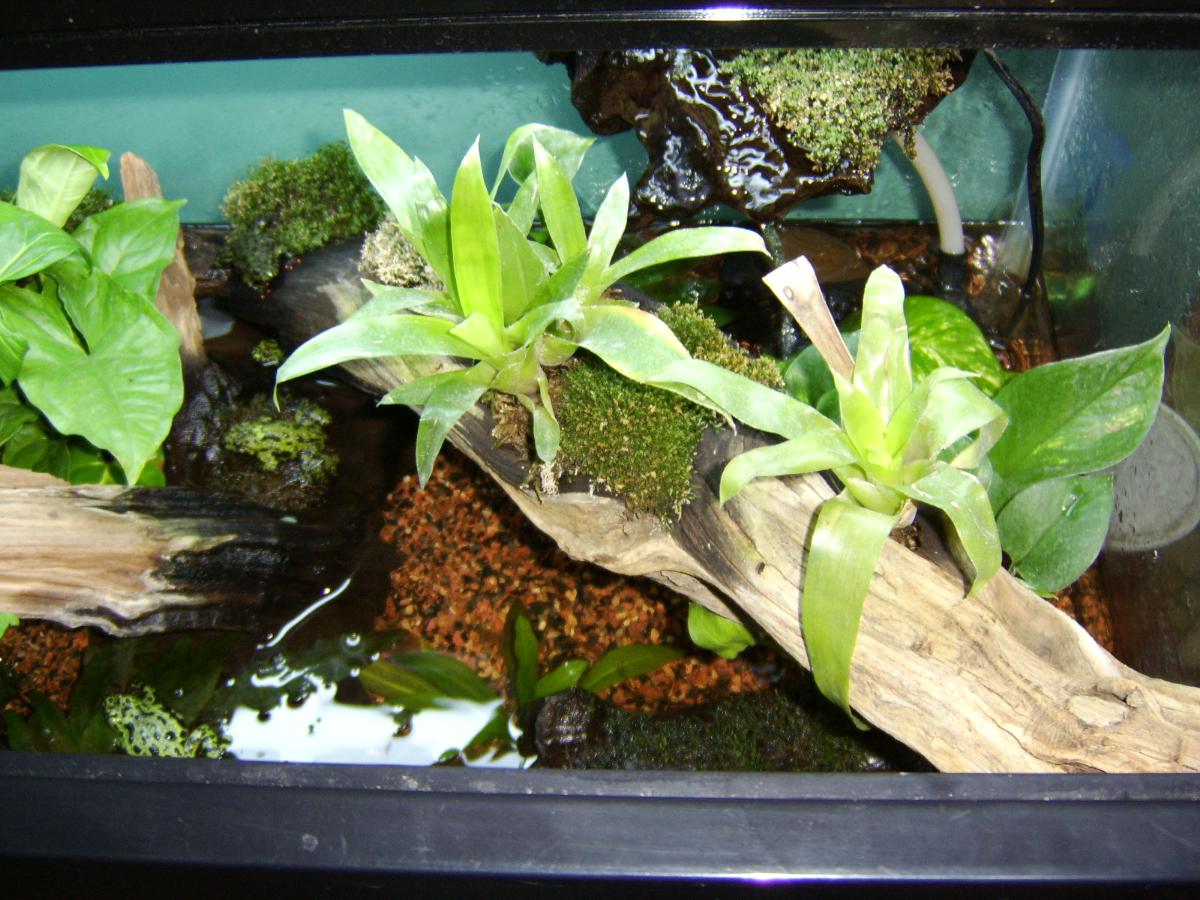 firebelly enclosure 3
